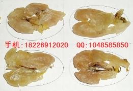 供應(yīng)鹿角片價格鹿茸片價格