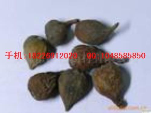 優(yōu)質(zhì)三分三批發(fā)價(jià)格圖片