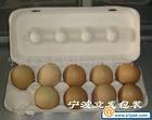 供應(yīng)天津6枚8枚10枚白紙漿雞蛋盒