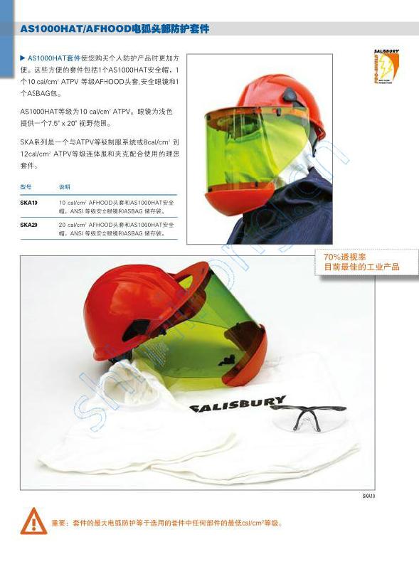 供應美國salisbury SKA15防電弧頭部套件