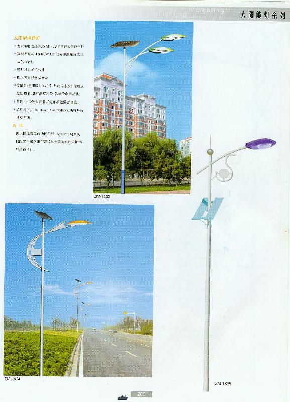 供應(yīng)濱州太陽(yáng)能道路燈