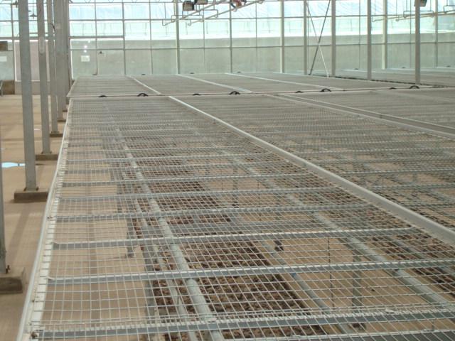 供應(yīng)生產(chǎn)花架網(wǎng)養(yǎng)花網(wǎng)鍍鋅網(wǎng)片廠家電話