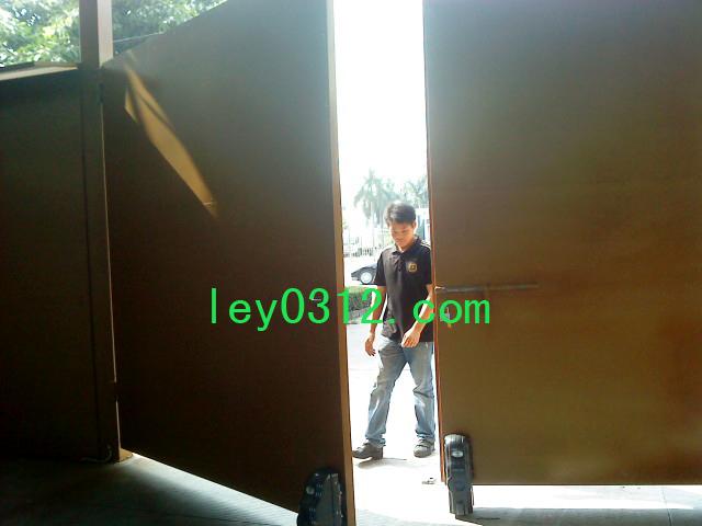 供應(yīng)別墅車庫庭院平開門機電動門八字開門機