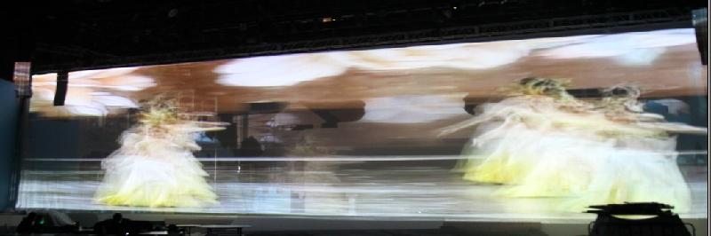 供應(yīng)進(jìn)口無縫紗幕 無縫投影紗幕 紗幕