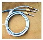 耐磨阻漏熱電偶WZP-01RL圖片