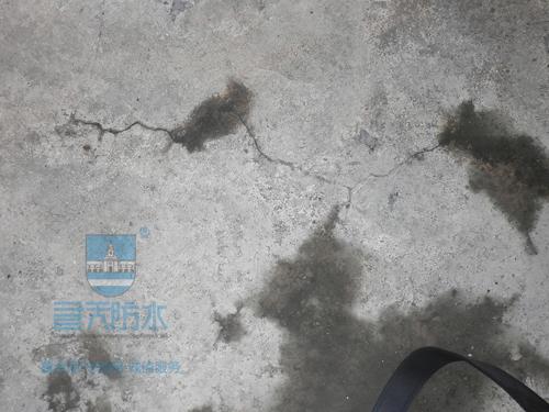 供應(yīng)蘿崗防水材料公司蘿崗補(bǔ)漏公司