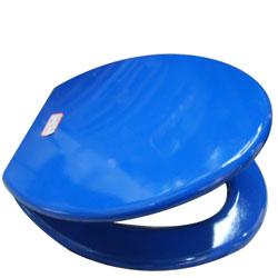 供應(yīng)訂做各種優(yōu)質(zhì)塑料馬桶蓋模具