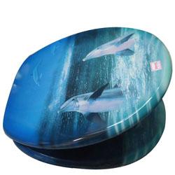 供應(yīng)多功能塑料馬桶蓋模具