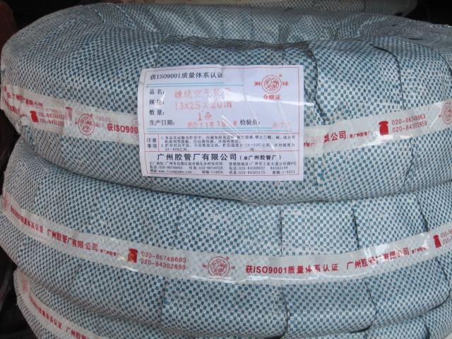 廣州獅圖片/廣州獅樣板圖 (2)