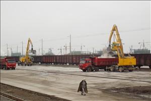 雙動(dòng)力全液壓履帶式火車卸煤機(jī)圖片