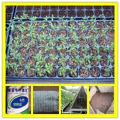 真石漆彩砂圖片