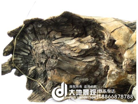 供應(yīng)假山塑石施工設(shè)計(jì)一體化
