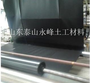 尾礦底襯防滲HDPE土工膜圖片/尾礦底襯防滲HDPE土工膜樣板圖 (4)