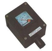 BYB8030防爆防腐儀表圖片