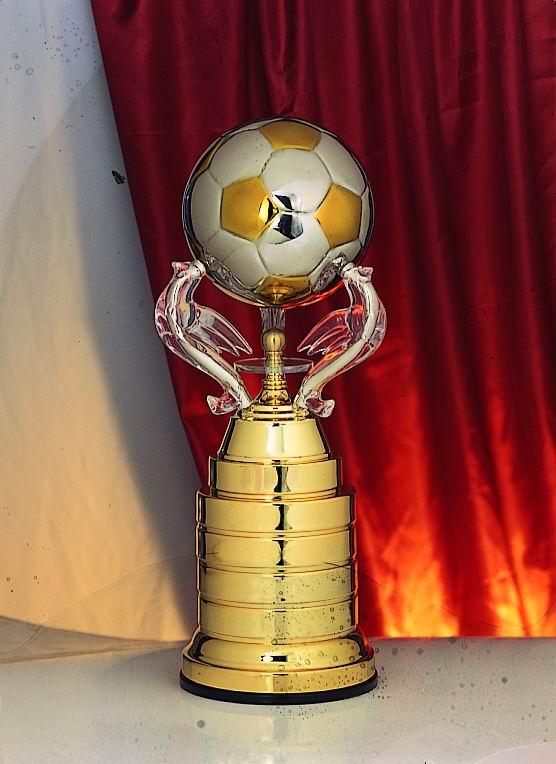 供應(yīng)河南省銷售水晶獎(jiǎng)杯金屬獎(jiǎng)杯獎(jiǎng)杯