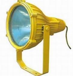 BTC8210型防爆投光燈圖片
