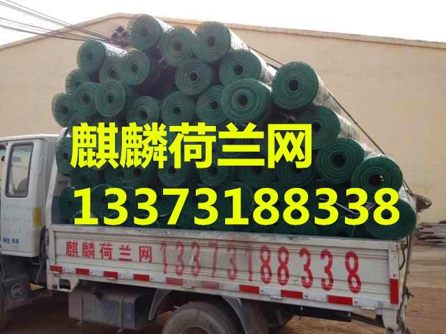 荷蘭網(wǎng)圖片/荷蘭網(wǎng)樣板圖 (2)