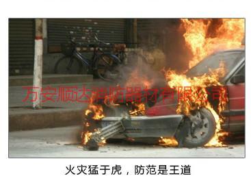 供應(yīng)貴州車載滅火器批發(fā)年檢必備神器水基滅火器價格