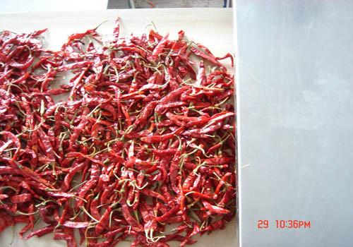 供應(yīng)廣州微波辣椒粉殺菌設(shè)備價(jià)格