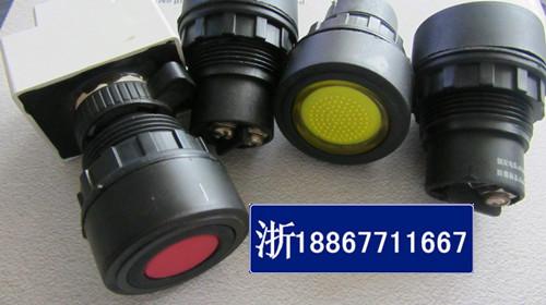 防爆指示燈BXD-1