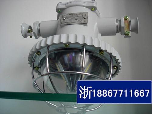 供應(yīng)DGS12/127L礦用led巷道燈