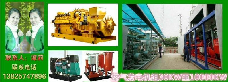 供應(yīng)湖南省生物質(zhì)發(fā)電項目建設(shè)管理辦法