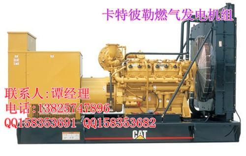 供應(yīng)遠(yuǎn)程控制孤島操作模式燃?xì)??發(fā)電機(jī)組