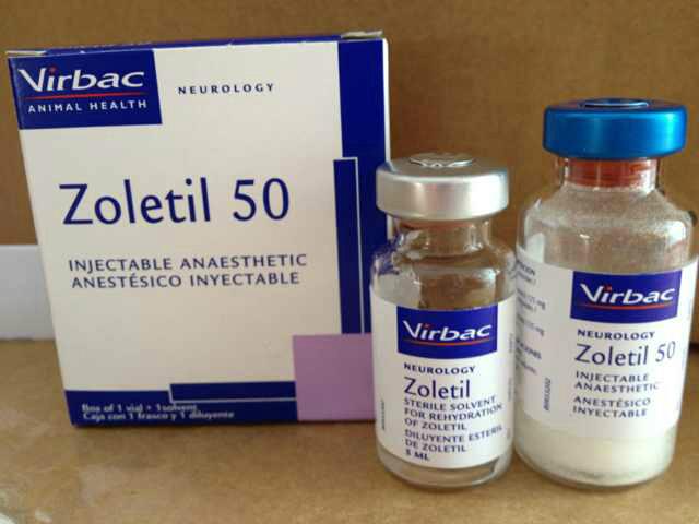 北京寵物藥品圖片