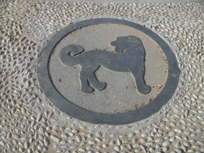 山東臨朐圖片/山東臨朐樣板圖 (2)