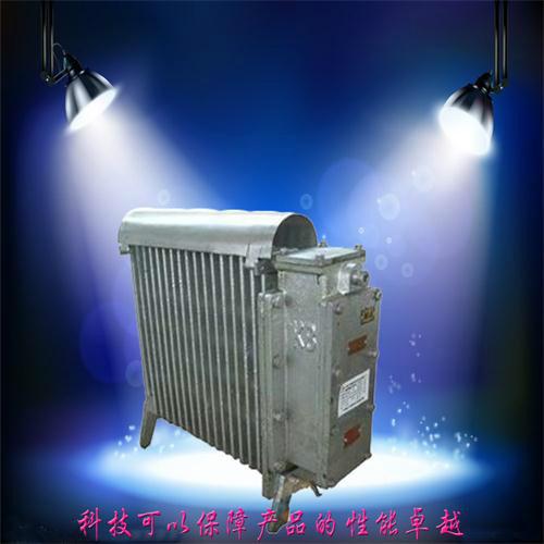北京BYT防爆電熱油汀廠家，防爆取暖器價(jià)格
