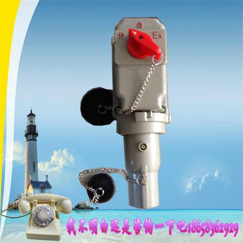 供應(yīng)防爆插接裝置