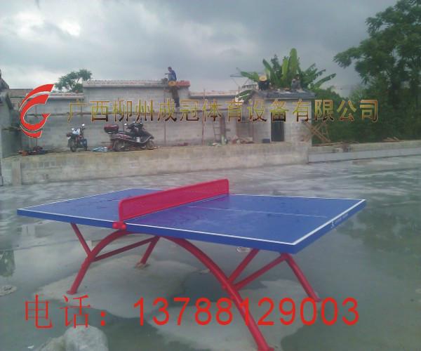 柳州乒乓球場(chǎng)地膠供應(yīng)商圖片