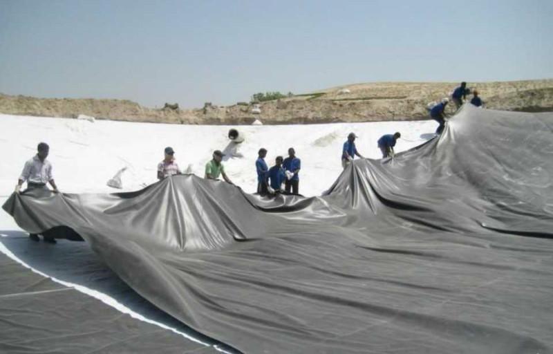 山東HDPE土工膜最低價(jià)圖片