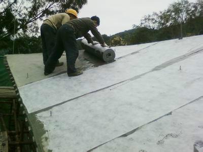 供應(yīng)惠州房屋漏水