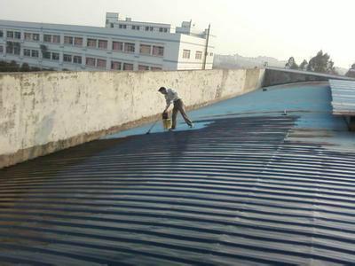 供應專業(yè)防水施工補漏維修.