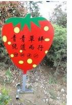 安徽花草牌圖片