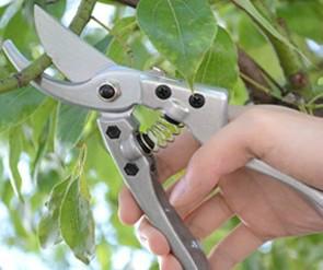 臺灣佐川吉果剪、曲刃型果柄剪711A、佐川吉果柄剪價格