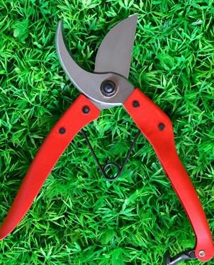 佐川吉168B修枝剪總代理、臺灣進口修枝剪、佐川吉修枝剪168B價格