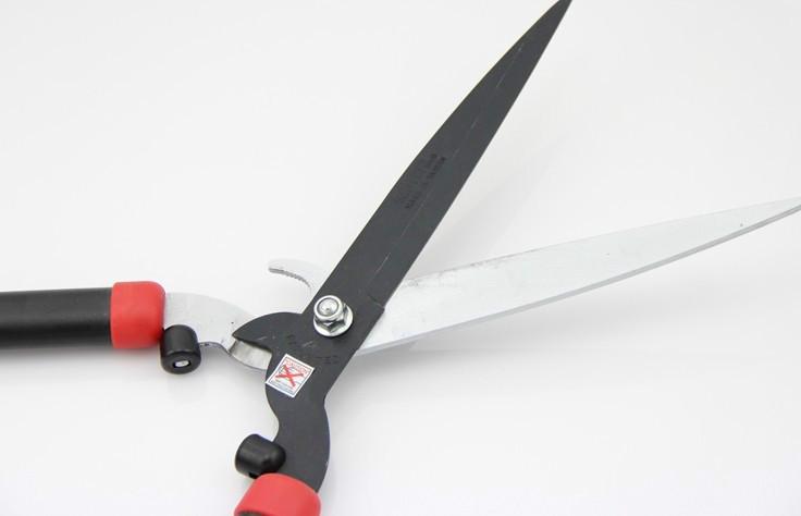 綠籬剪圖片/綠籬剪樣板圖 (2)