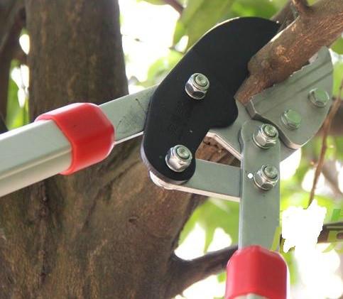 佐川吉1245粗枝剪批發(fā)價(jià)、 大力士剪 可剪粗樹(shù)枝 園林工具大*、