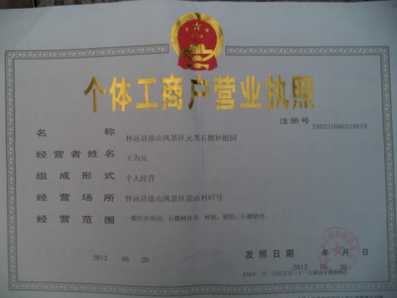 供應(yīng)懷遠(yuǎn)優(yōu)質(zhì)白花石榴生產(chǎn)商，懷遠(yuǎn)石榴種植基地，懷遠(yuǎn)石榴苗價(jià)錢