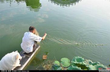 供應(yīng)地籠價(jià)格，優(yōu)質(zhì)地籠價(jià)格，河北地籠價(jià)格