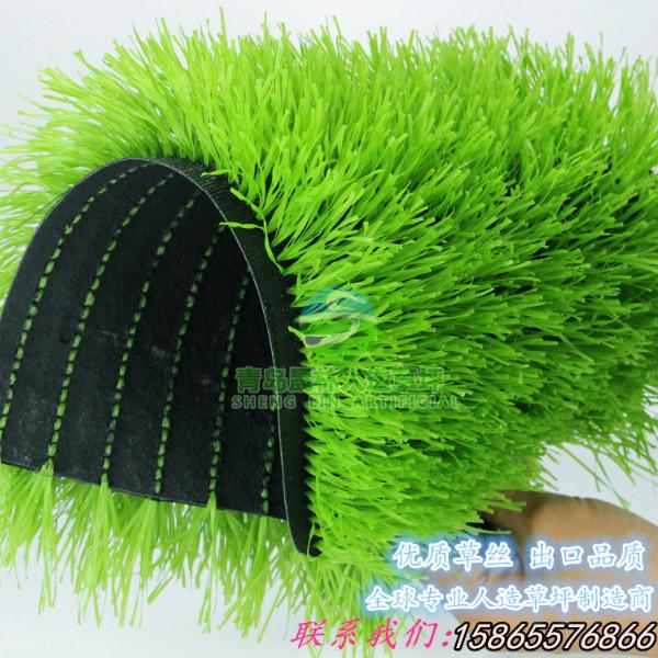 足球場專用草坪圖片/足球場專用草坪樣板圖 (3)