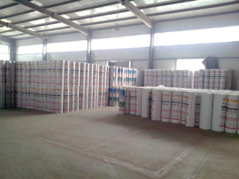 供應(yīng)地下倉庫防水材料