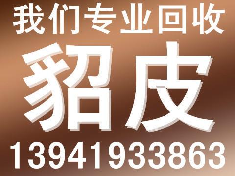 供应白城回收貂皮大衣价格最高貂皮回收