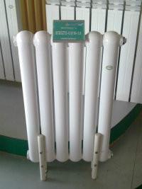 供應(yīng)SCHM3-6-8鑄鐵散熱器