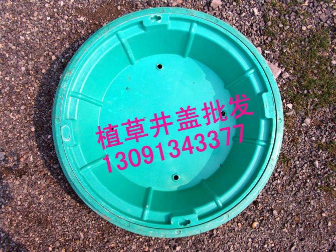 供應(yīng)秦皇島葫蘆島隱形井蓋植草井蓋草坪井蓋綠化帶井蓋