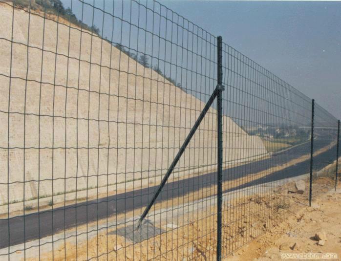 供應(yīng)種植養(yǎng)殖防護網(wǎng)，廠家直銷荷蘭網(wǎng)55 510公分孔徑