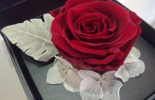 供應(yīng)*到上海玫瑰鮮花報關(guān)公司