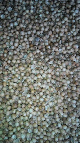 供應白胡椒批發(fā)，白胡椒批發(fā)價格，成都白胡椒批發(fā)